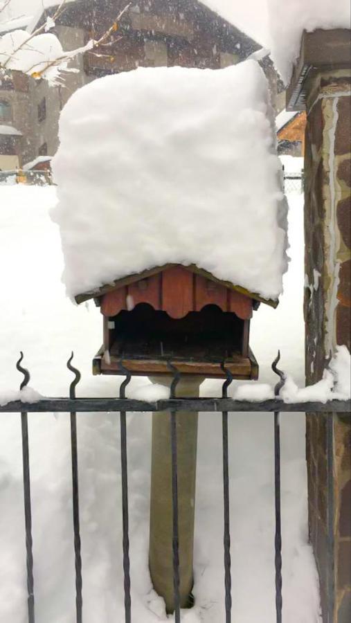 Bed & Breakfast Paradiso Mezzana (Trentino Alto Adige)