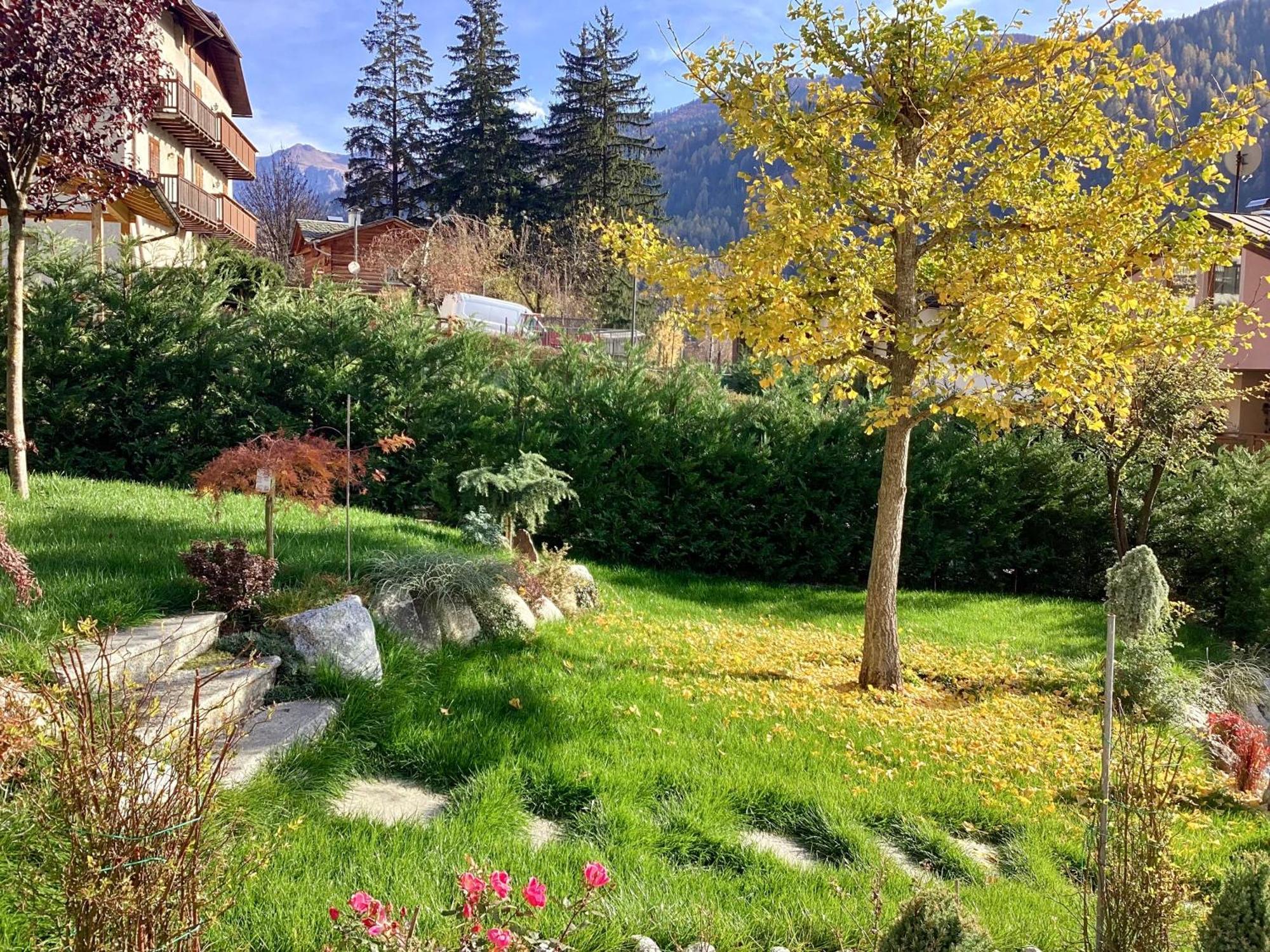 Bed & Breakfast Paradiso